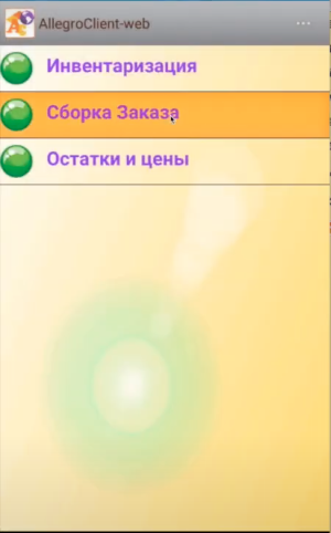 Запуск программы AllegroClient