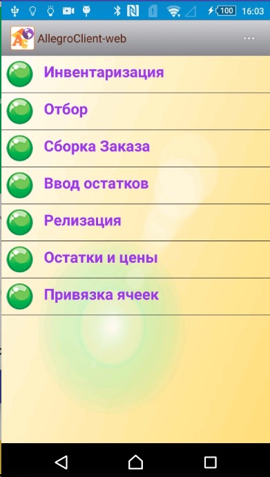 меня программы AllegroCount на ТСД
