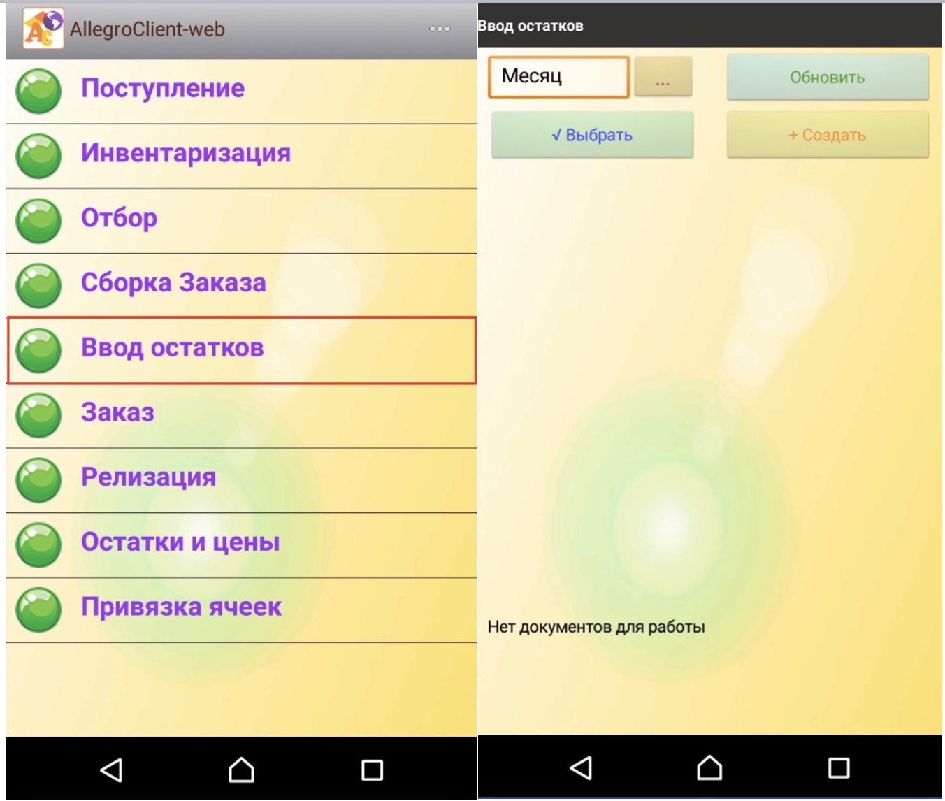 Программы для ТСД AllegroCount