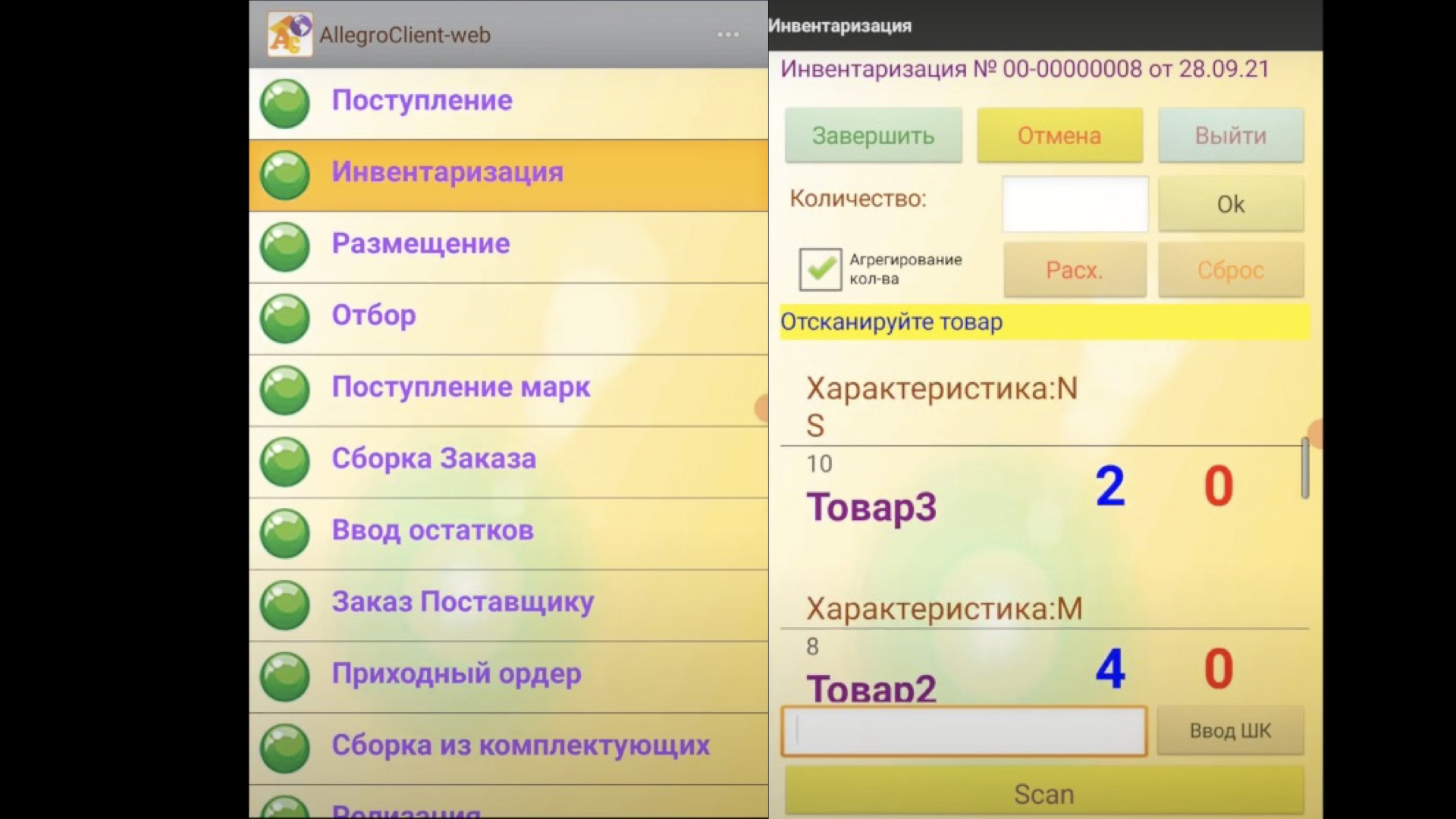 отображение инвентаризации на ТСД