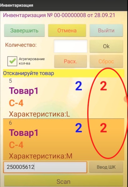 Инвентаризация на ТСД