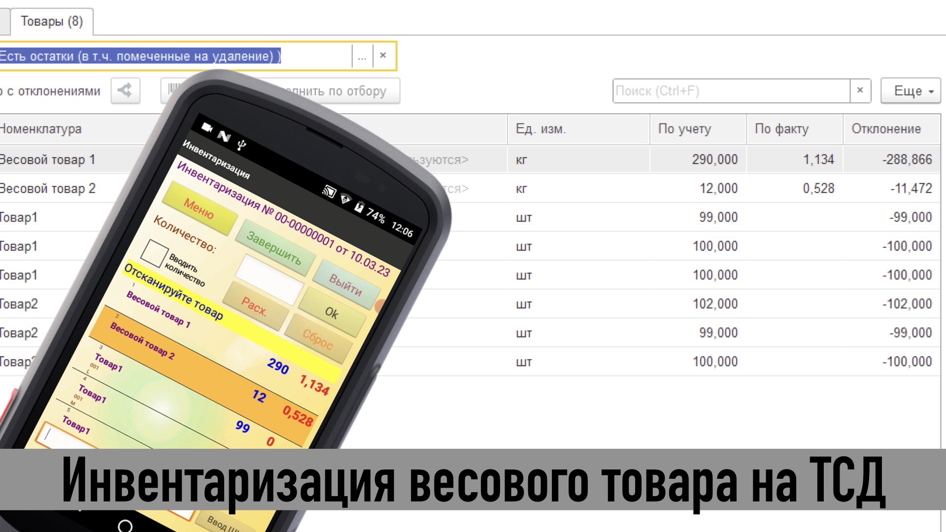Инвентаризация на ТСД