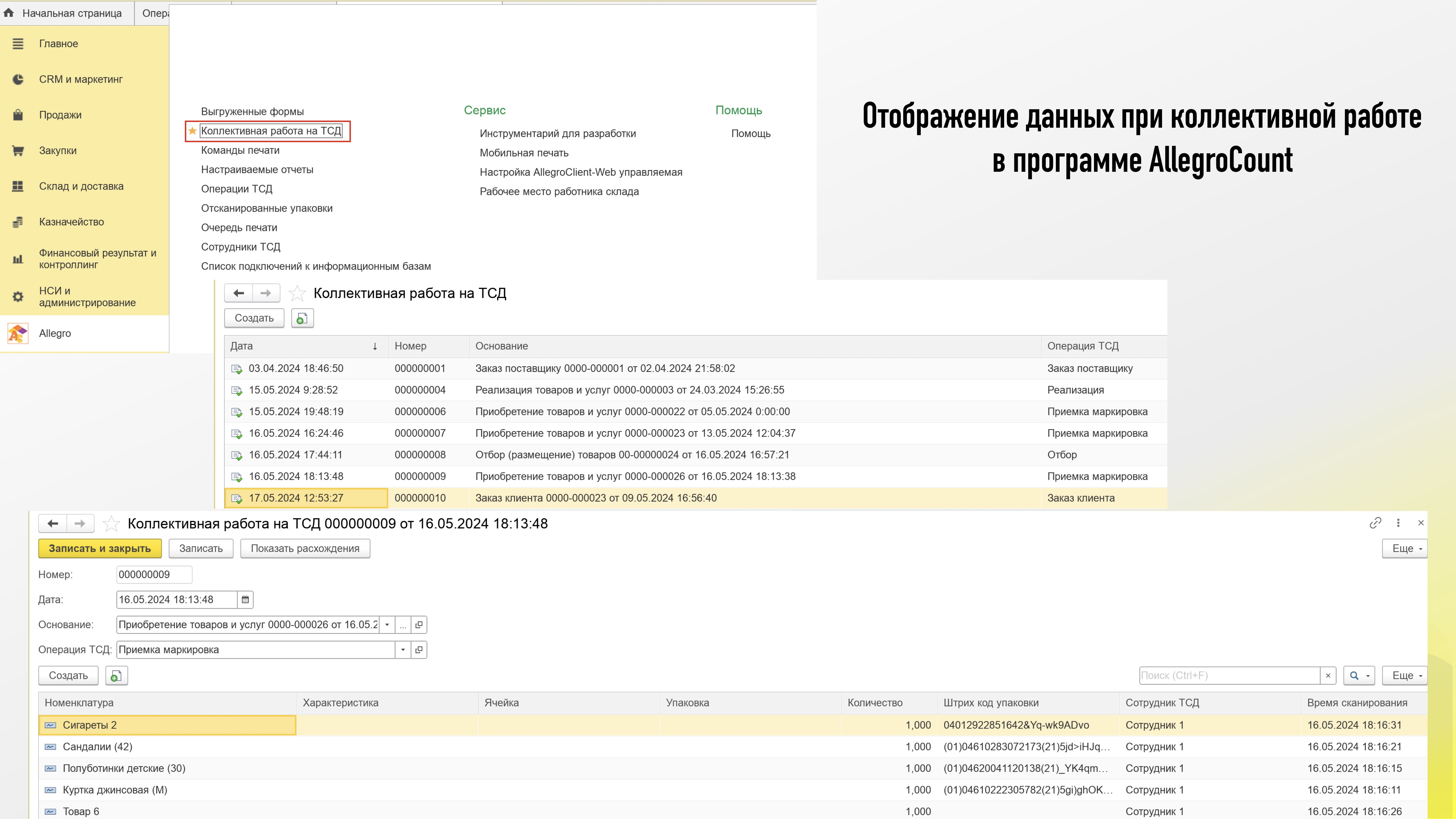 Отображение данных ТСД в программе AllegroCount