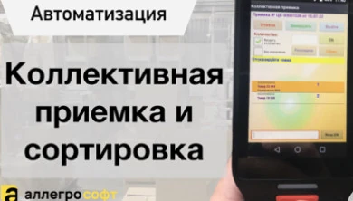 Приемка и сортировка товара на ТСД