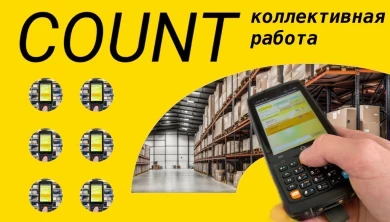 Модуль коллективной работы для программы AllegroCount